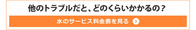 他のトラブルだと、どのくらいかかるの？水のサービス料金表を見る